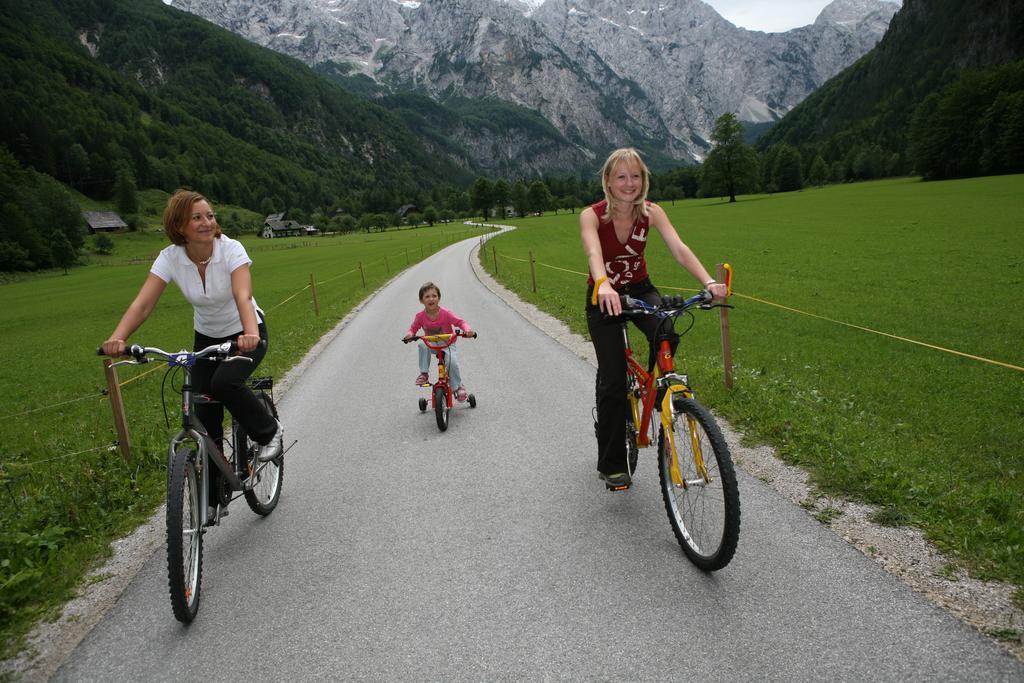Hotel Plesnik Logarska Dolina Solčava Eksteriør bilde